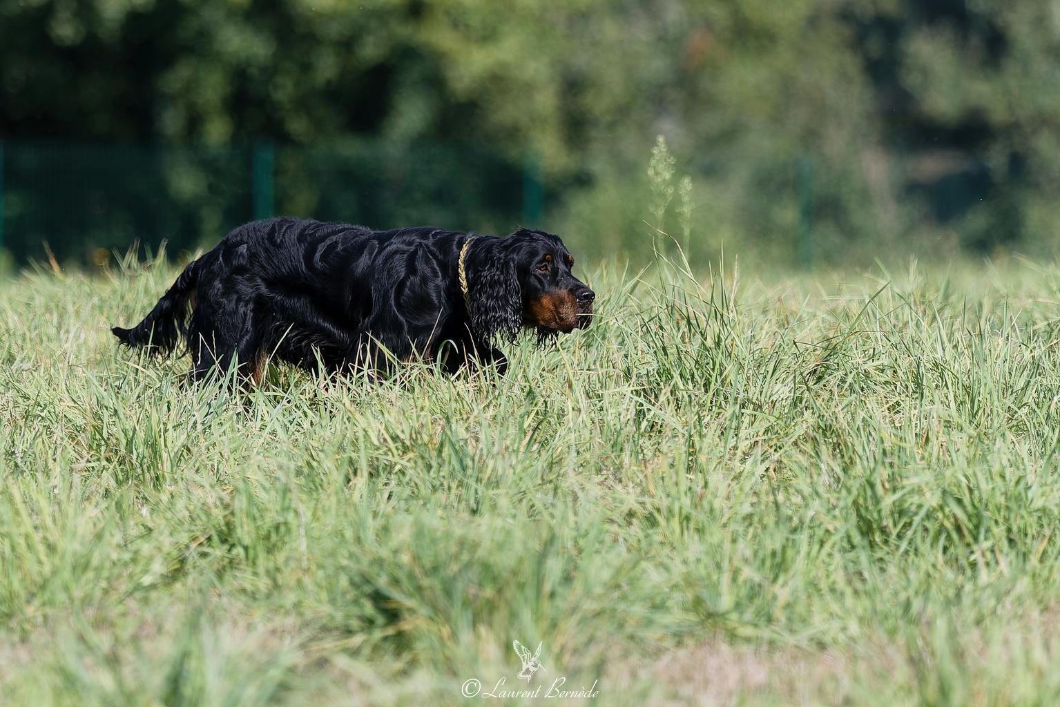 VILLY Des Praline d'Aubejoux  Villy  son TAN