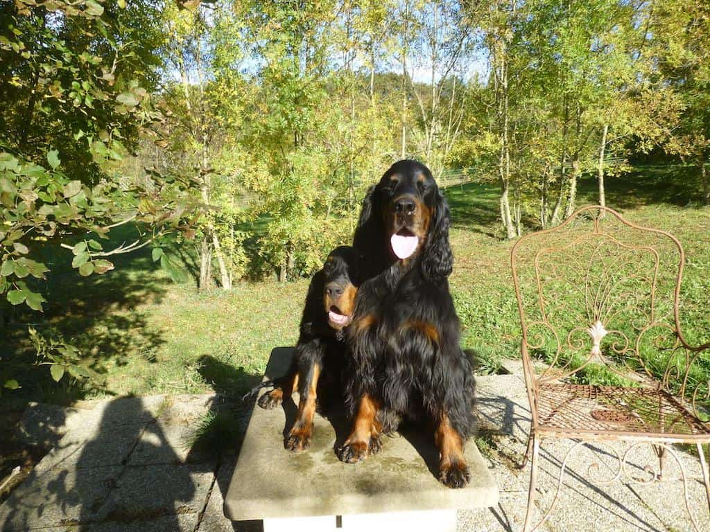 Souinet et son fils Villy